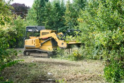 Land Clearing Crew at Work