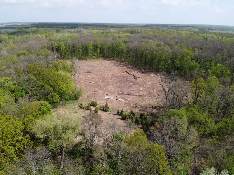 Agricultural Land Clearing