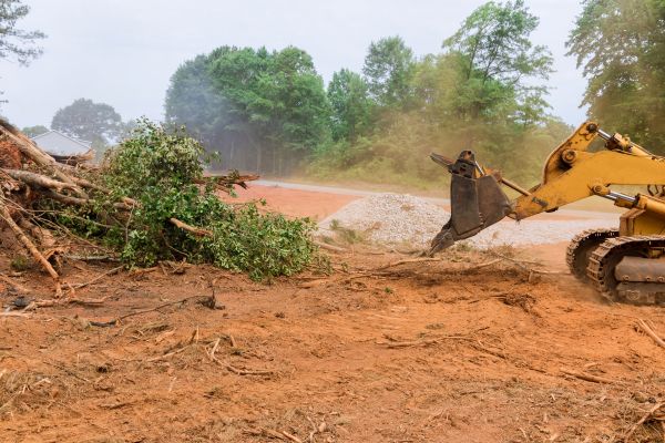 Ground Clearing in Ames