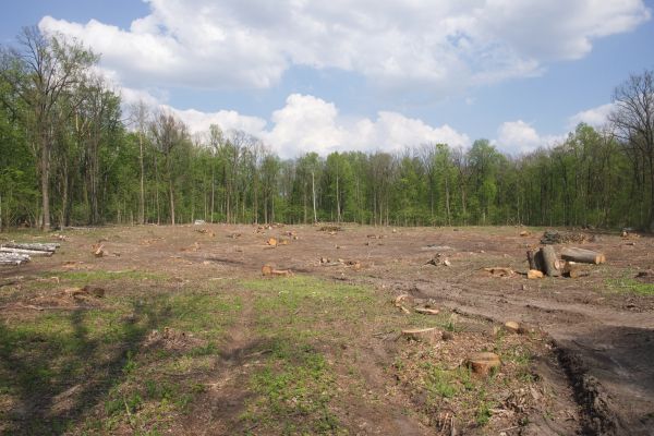 Cost of Pasture Clearing in Ames