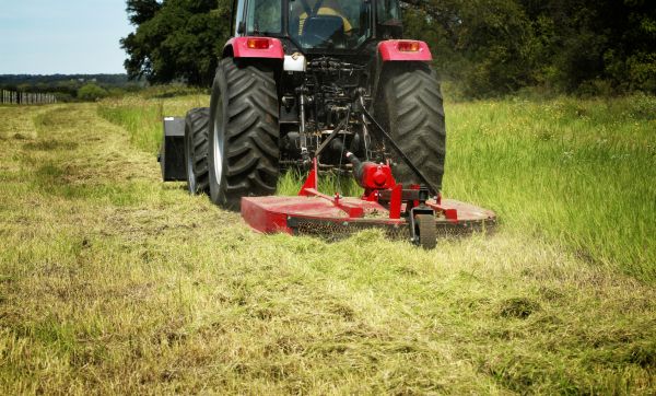 Brush Clearing Service in Ames