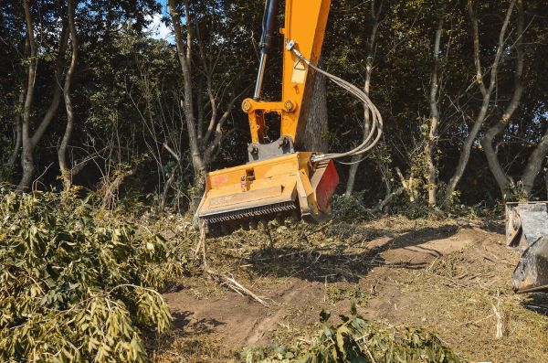 Brush Removal Service in Ames