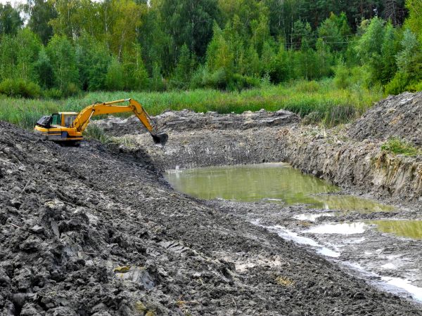 Cost of Lake Lot Clearing in Ames