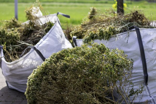 Cost of Bushes Clearing in Ames