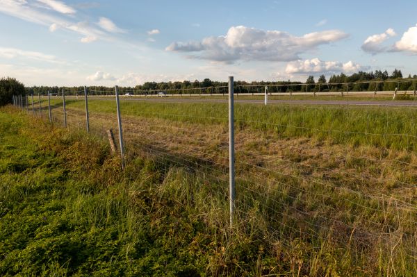 Cost of Property Line Clearing in Ames