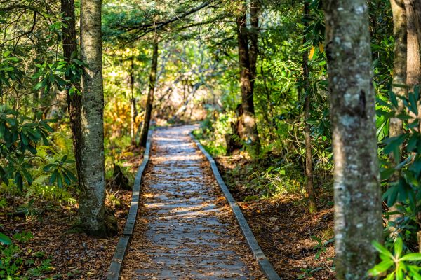 Cost of Trail Clearing in Ames