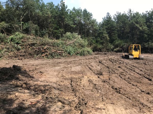 Cost of Thicket Clearing in Ames