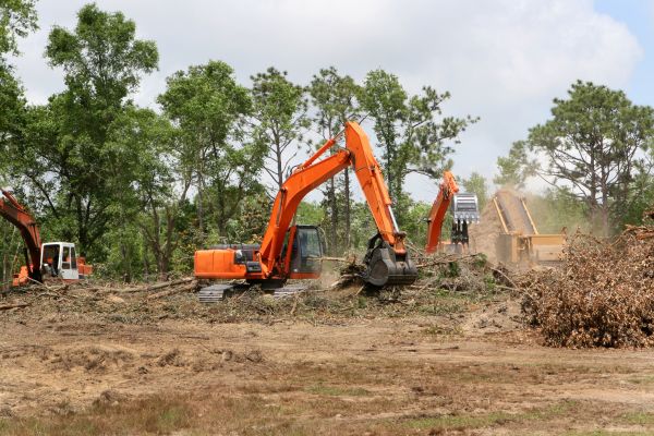 Cost of Commercial Lot Clearing in Ames