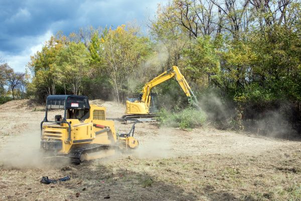 Cost of Terrain Clearing in Ames