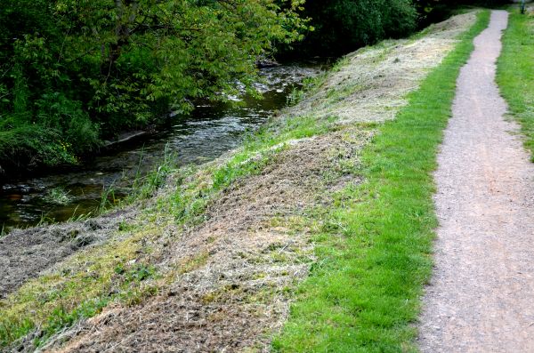 Cost of Trail Cutting in Ames